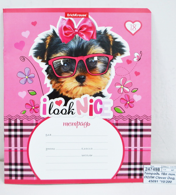 Тетрадь 18 листов линия ПОЛИ  Clever Dog, 45091 *10/200