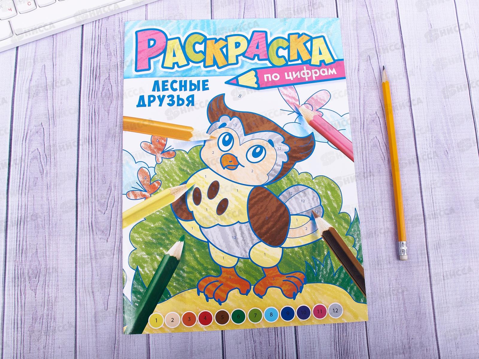 Раскраска по цифрам ЛиС А4 Лесные друзья, РКСЦ *50