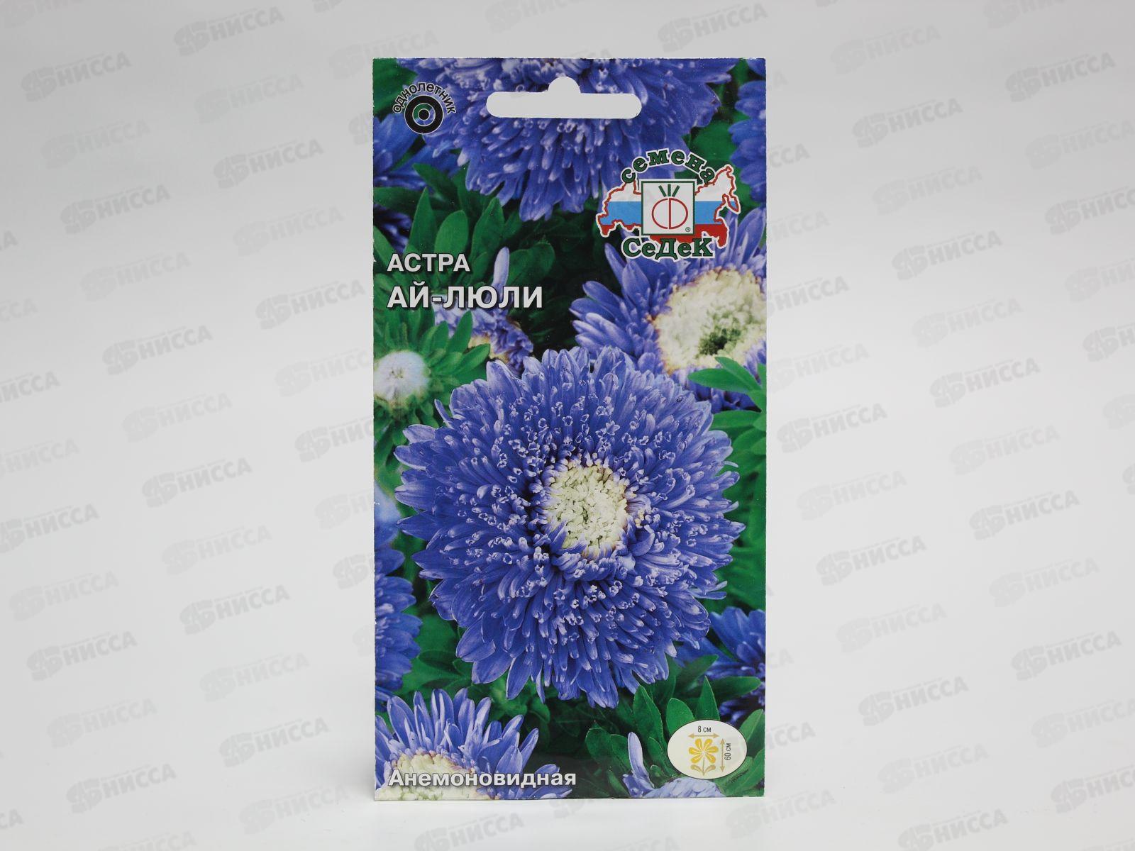 Астра Ай-люли (синяя с белым центром) (Евро, 0,2) СеДек *10 +