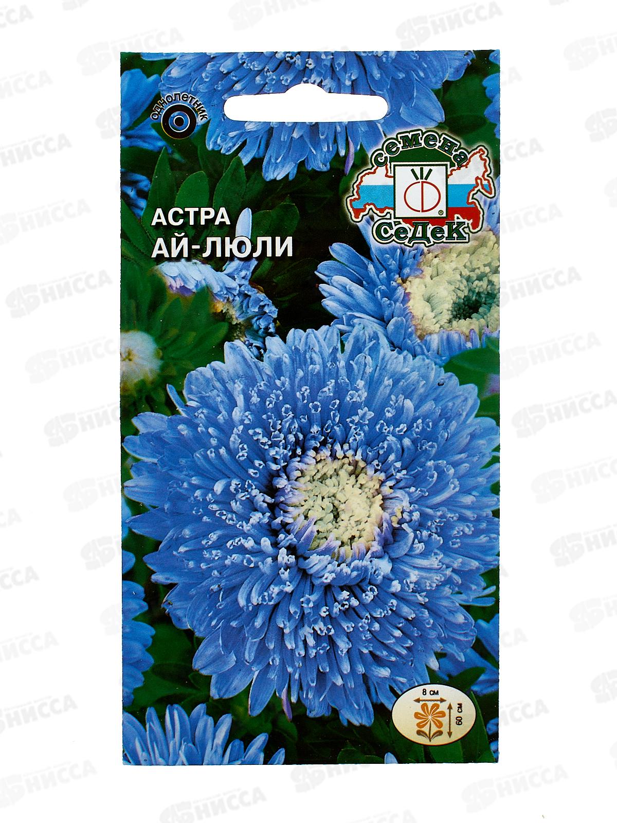 Астра Ай-люли (синяя с белым центром) (Евро, 0,2) СеДек *10 +