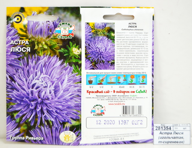 Астра Люся (игольчатая, темно-сиреневая) (Евро, 0,2) СеДек *10 +