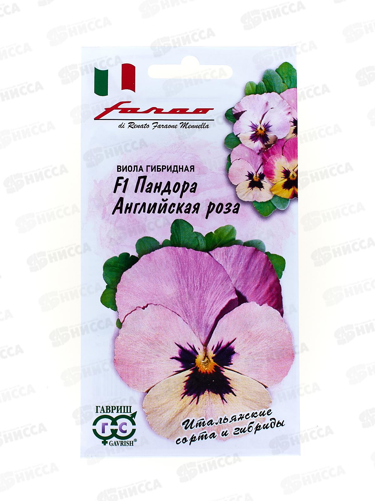 Виола Пандора Английская роза 5 штук  Фарао  Н18 *10 ГШ