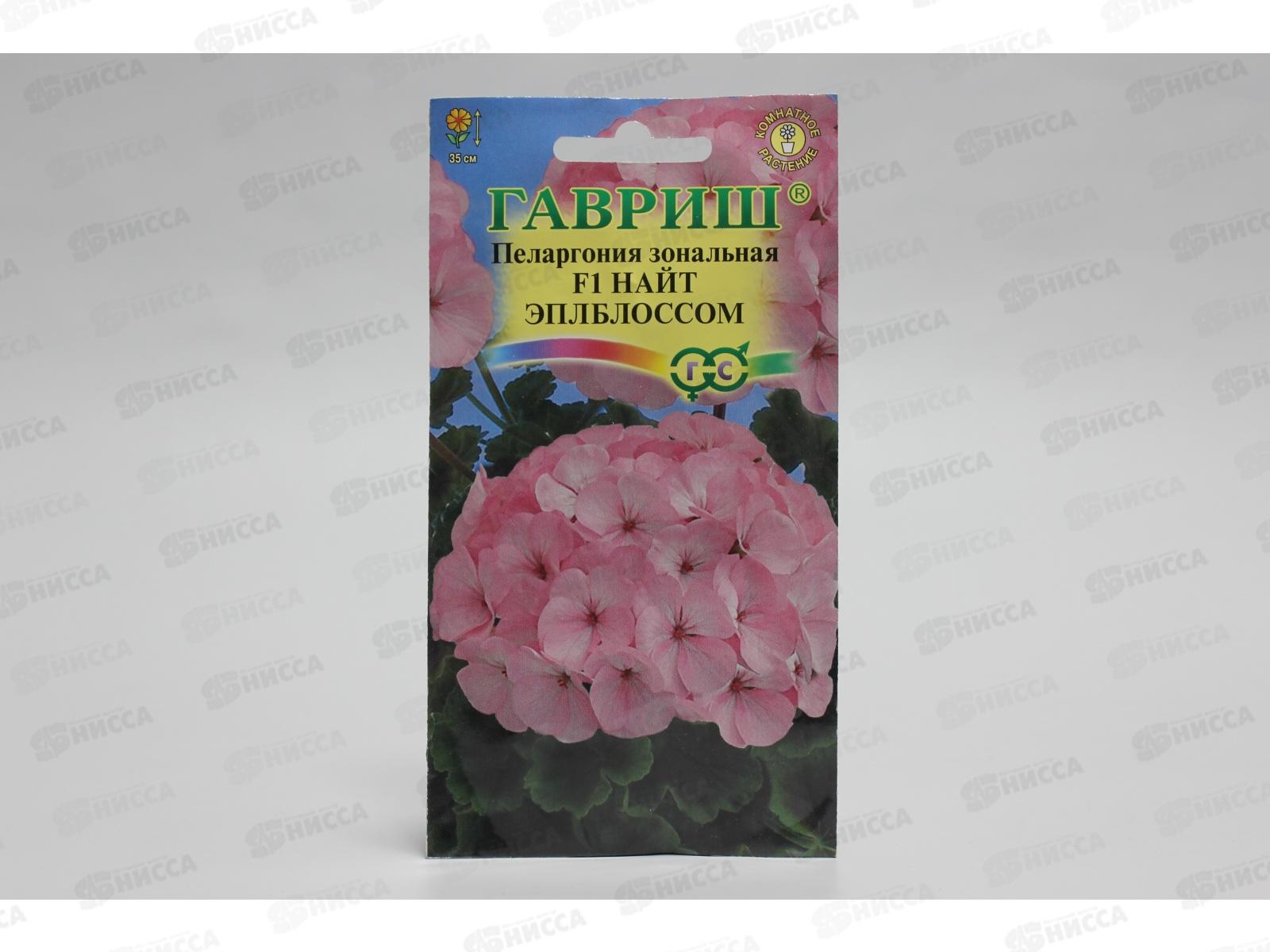 Пеларгония Найт Эплблоссом F1 зональная 4 шт  *10 ГШ +