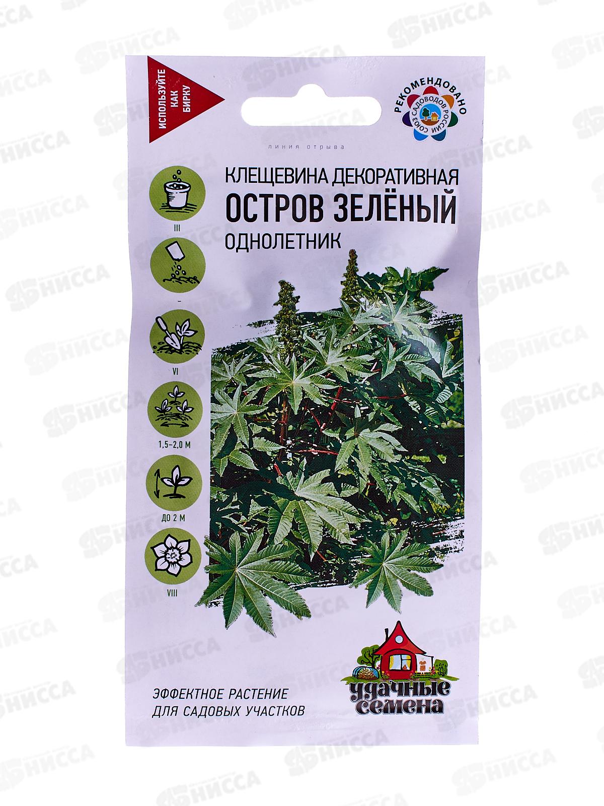 Клещевина Остров зеленый 5 штук  Удачная серия *10 ГШ +