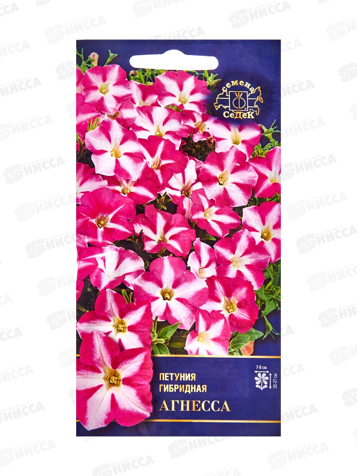 Петуния Агнесса F1 (многоцветковая) (Евро, 5) СеДек *10