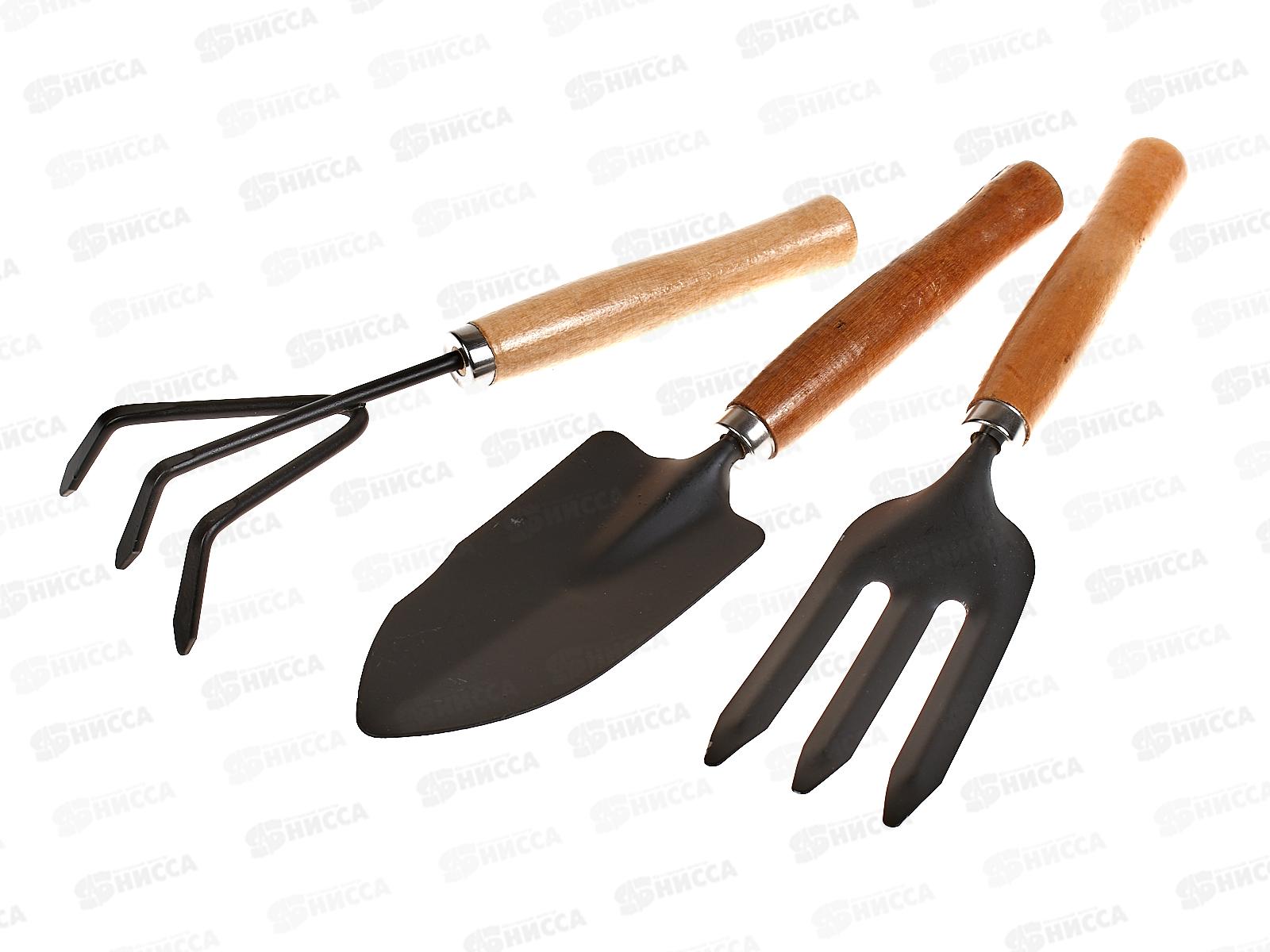 Набор садовый (лопатка+грабли+вилы) 25 см., AL-2838 *100