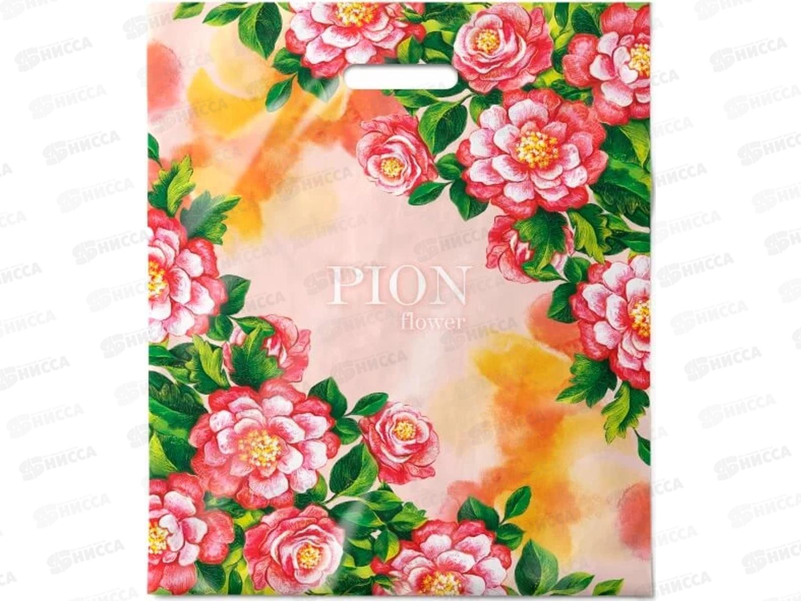 Пакет пробивной 40*47 Впечатление *50/500