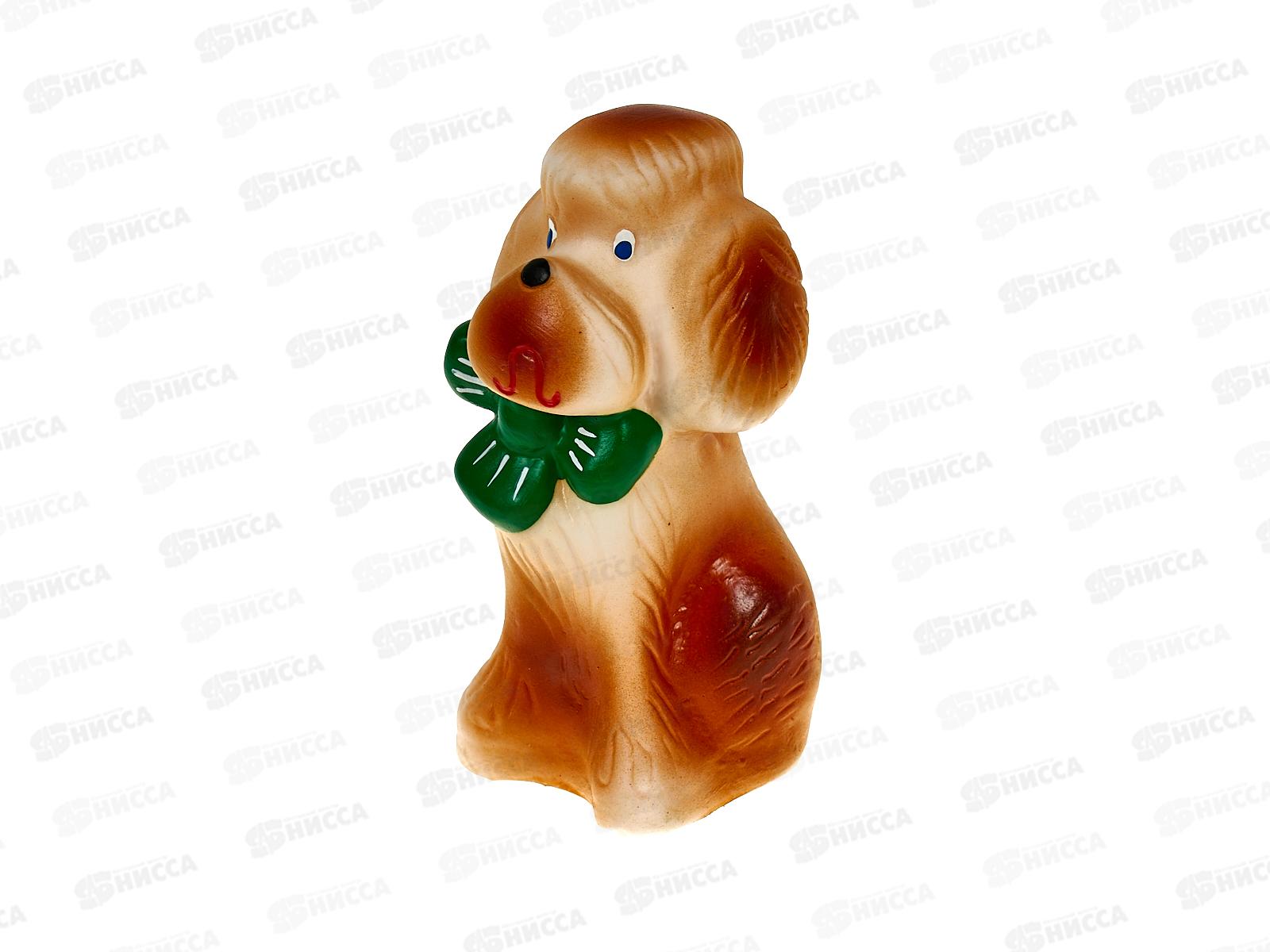 Воронеж Собачка Пудель  СИ-143