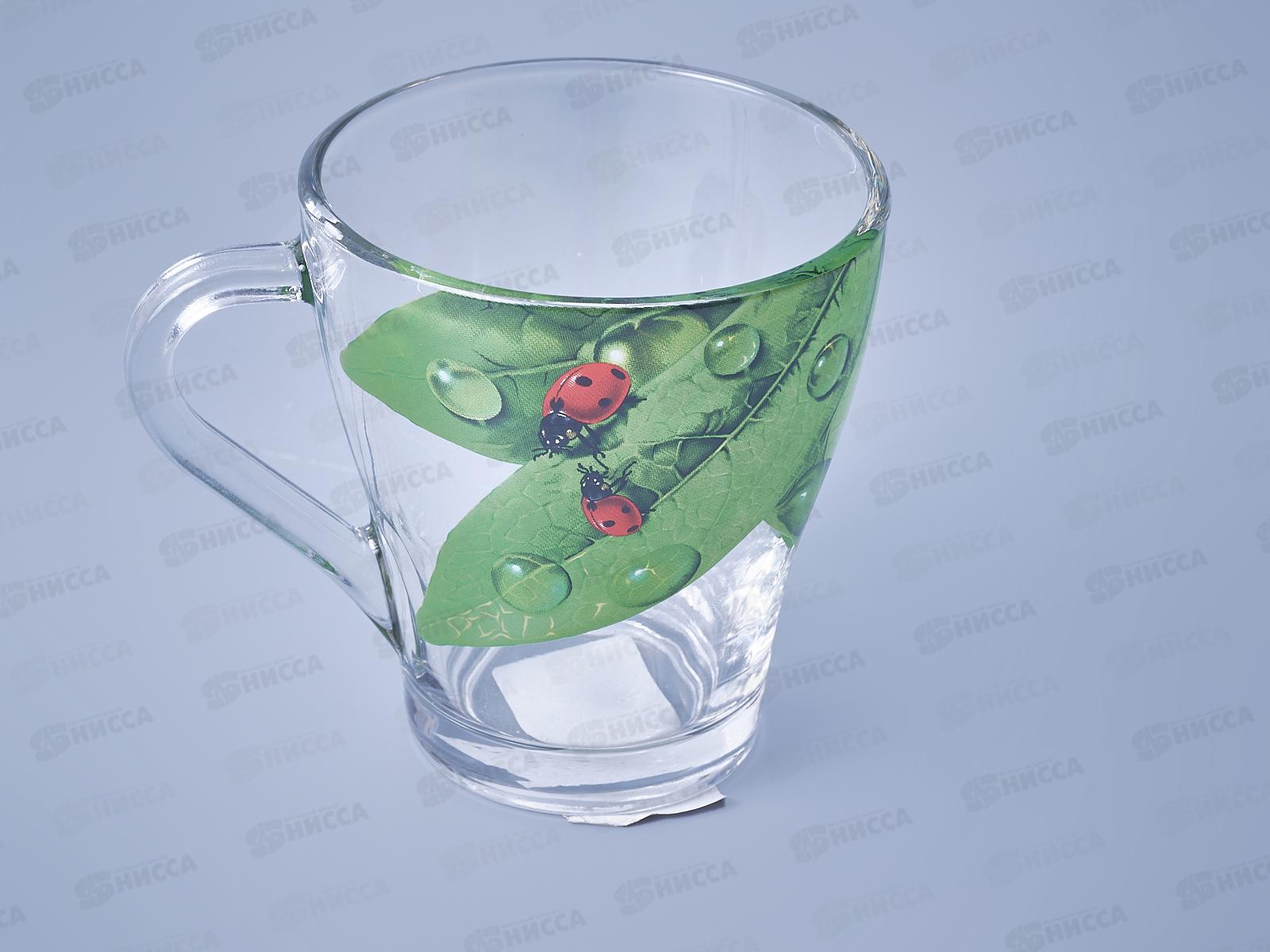 Кружка 250мл 1649-Д Живая природа.Зеленый лист *12