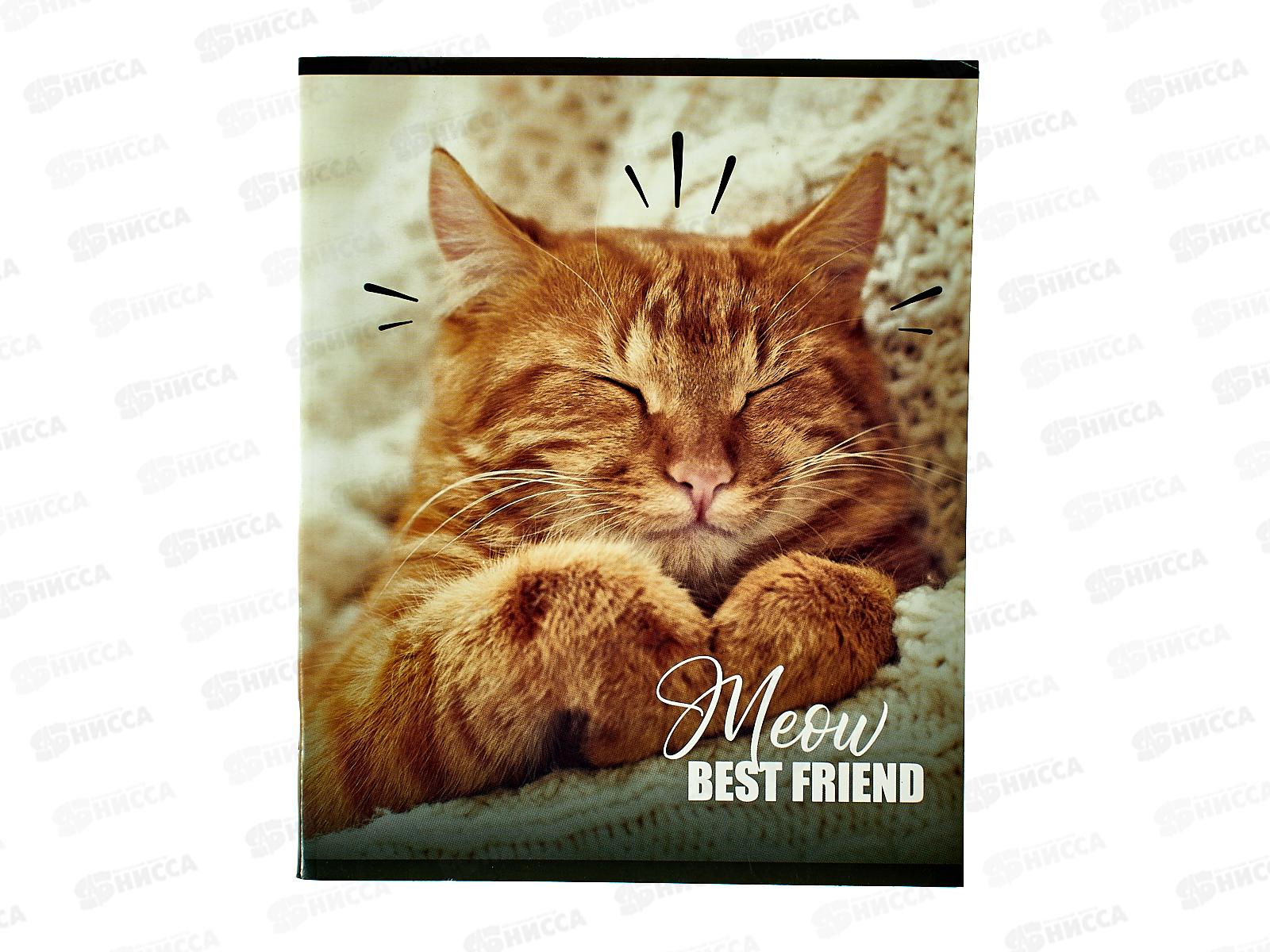 Тетрадь 48листов клетка Creativiki А5 Котики ТОК48КР-КТ*8/64