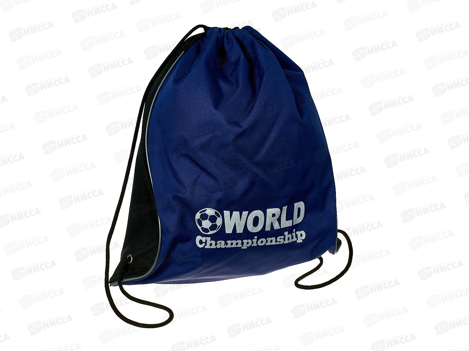 Сумка для сменной обуви ПЧЕЛКА World Championship, синяя  2019, СДС-8 *15
