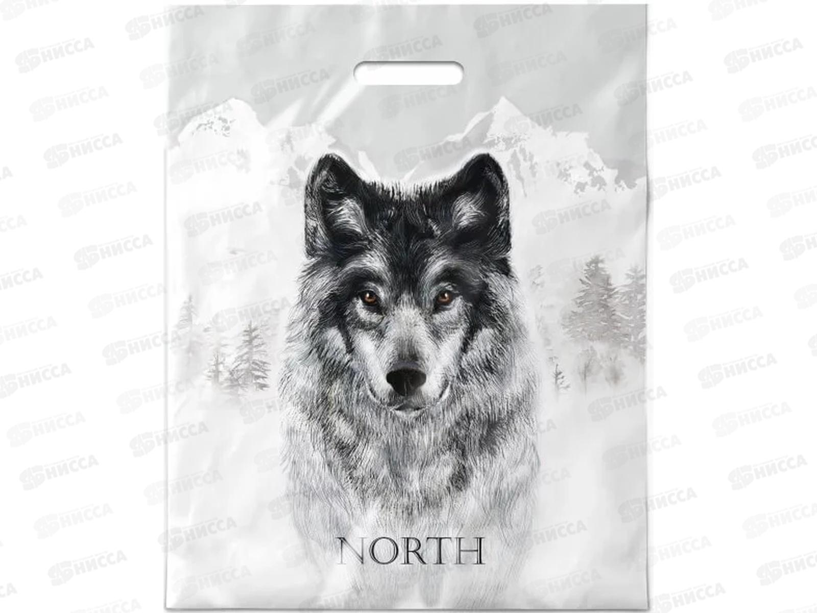 Пакет пробивной 40*50 Север *50/500