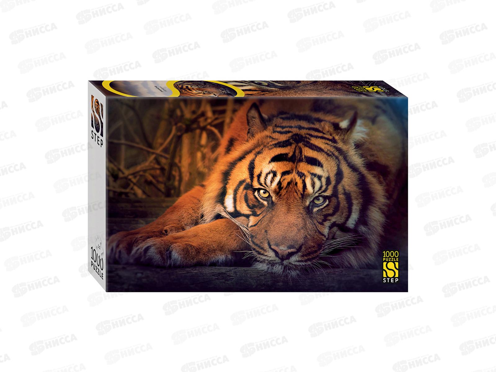 ПАЗЛЫ 1000 элементов 79142 Сибирский тигр *9