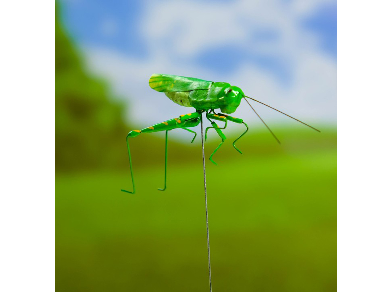 Штекер для комнатных растений &quotКузнечик зеленый&quot 3*5*22см 3945440