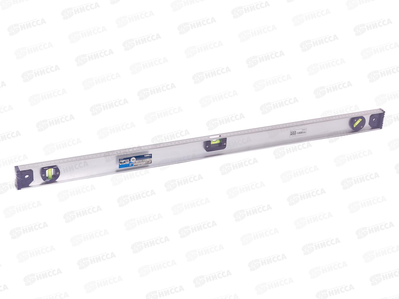 Уровень скелетный 1000мм, 2503010 Toolberg *50