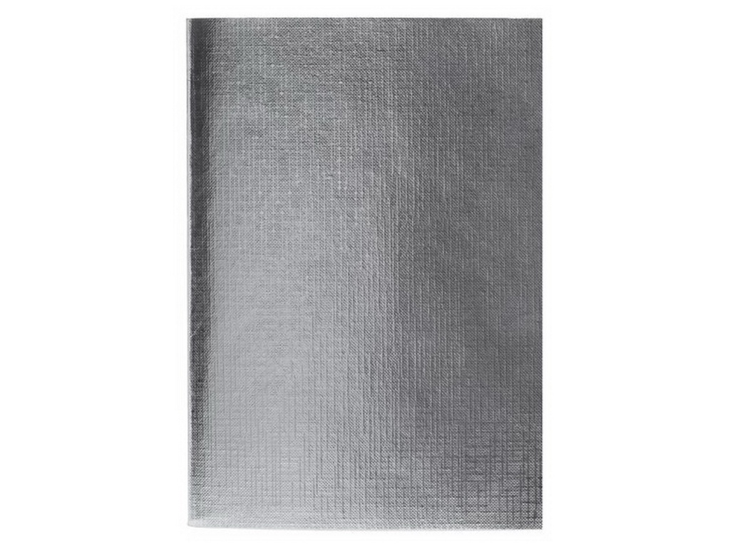 Тетрадь 48листов клетка Hatber бумвинил METALLIC Серебро *5/60