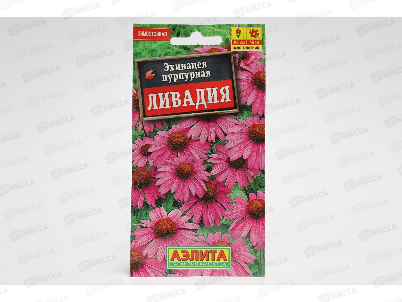 Эхинацея Ливадия пурпурная Аэлита *10 +