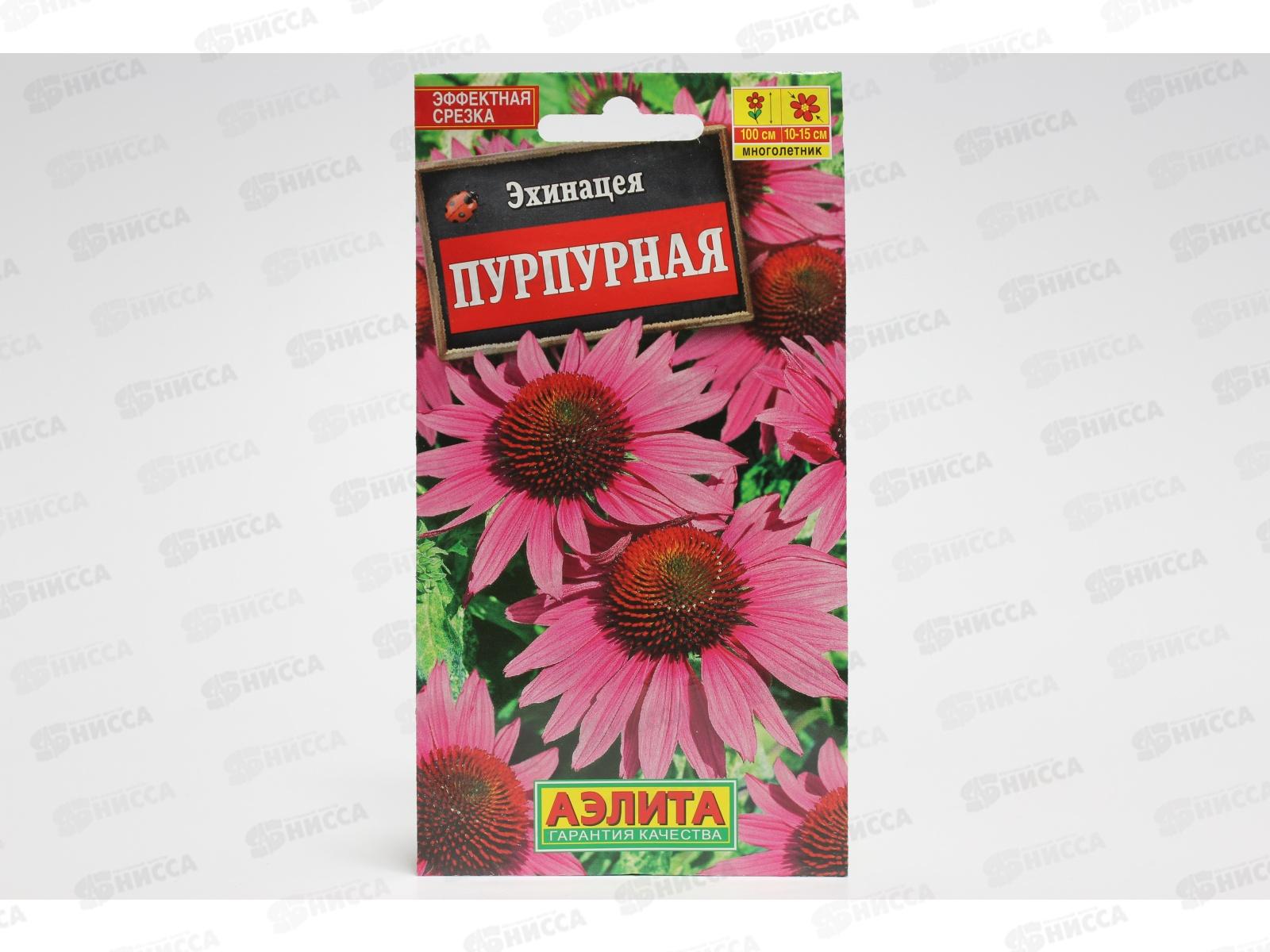 Эхинацея пурпурная Рудбекия  Аэлита *10