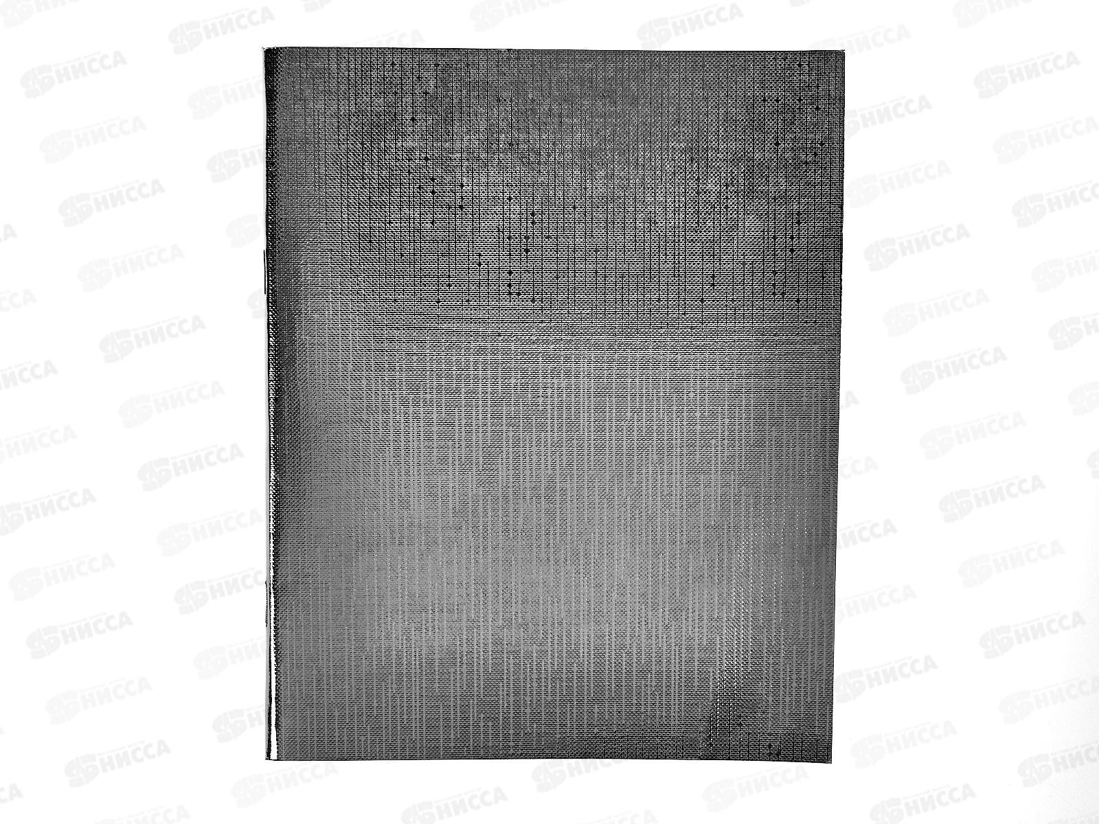 Тетрадь 48 листов линия Hatber б/в METALLIC Серебро*5/60