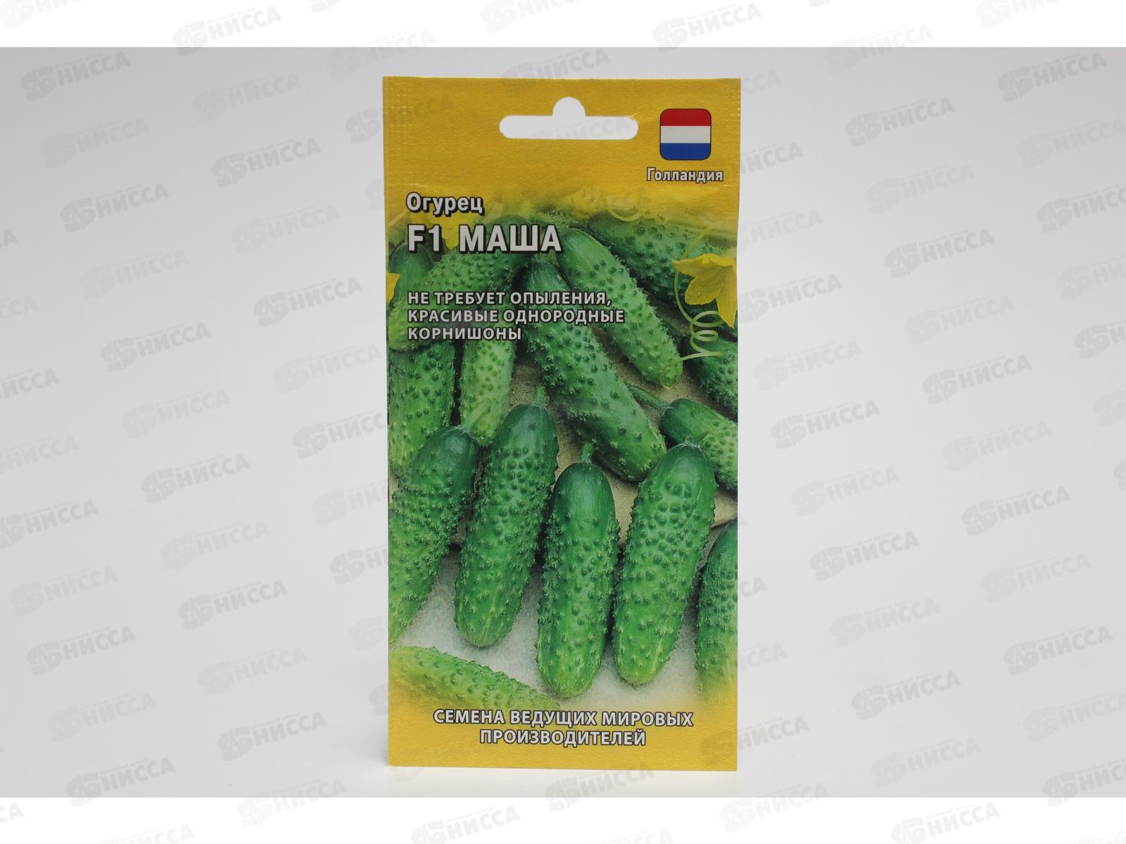 Огурец Маша 5шт корнишон (Голландия) *5 ГШ