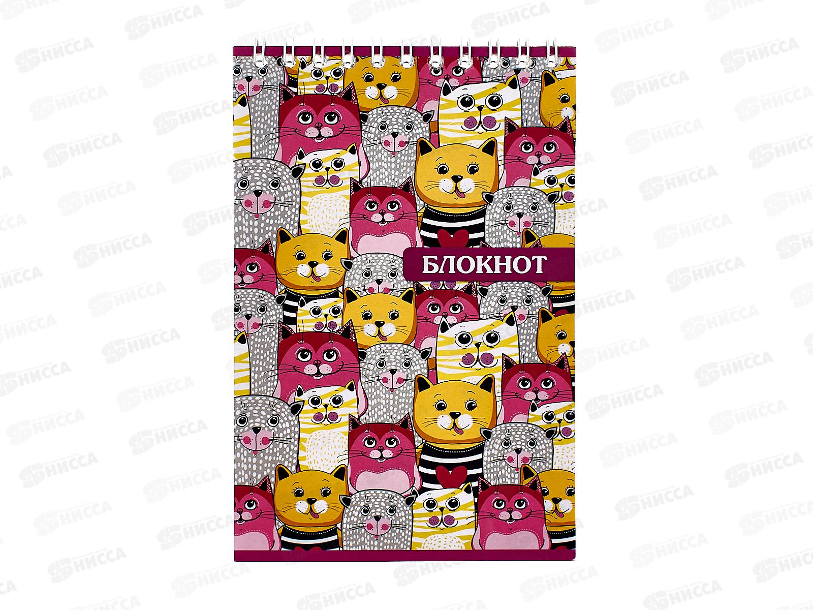 Блокнот 48листов ПГС Котики, 100*150, на гребне*12