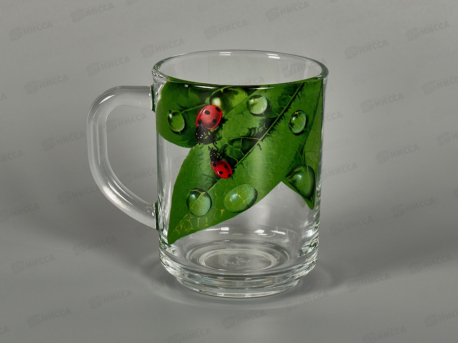 Кружка 200мл 335-Д Живая природа, Зеленый лист