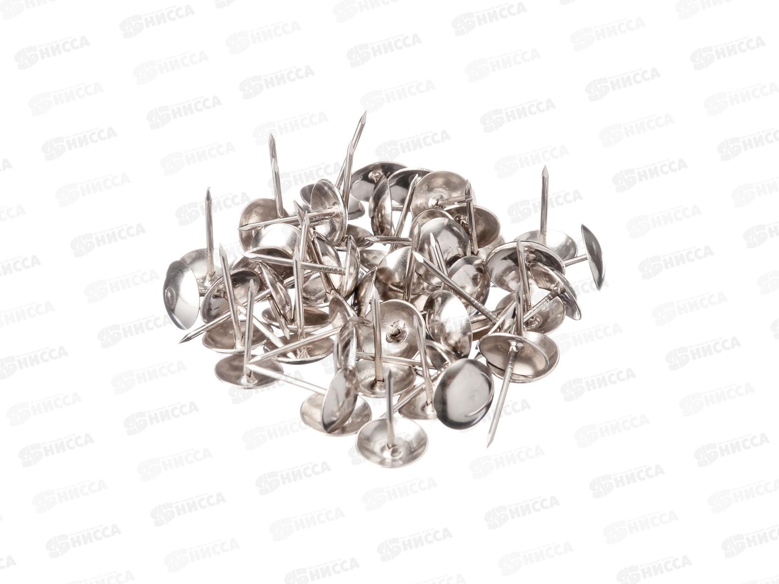 Гвоздь декоративный 1,2х13 хром 75штук ДГХ-1213    *100   ш