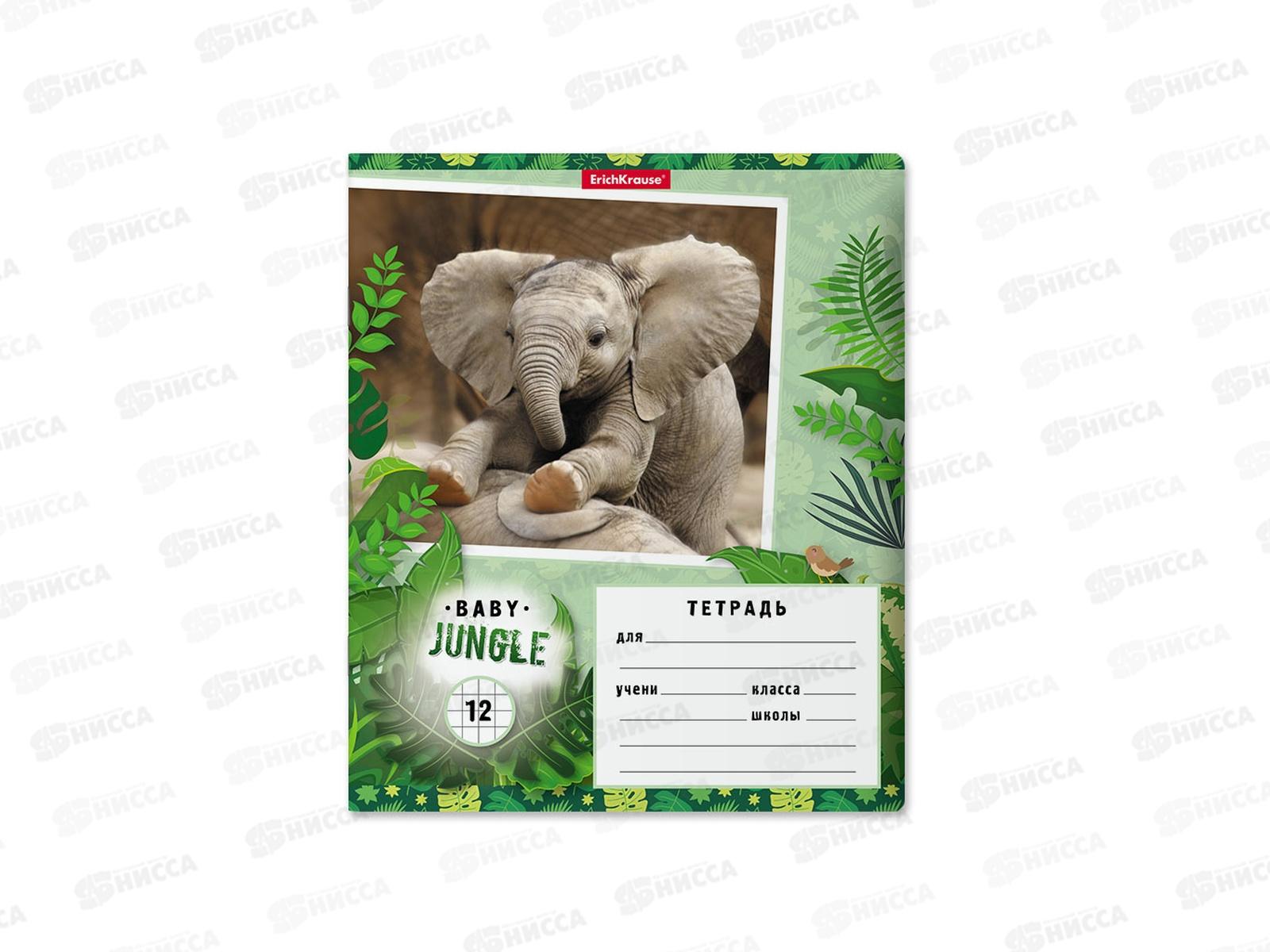 Тетрадь 12листов клетка ПОЛИ Baby Jungle 48832 *10/280