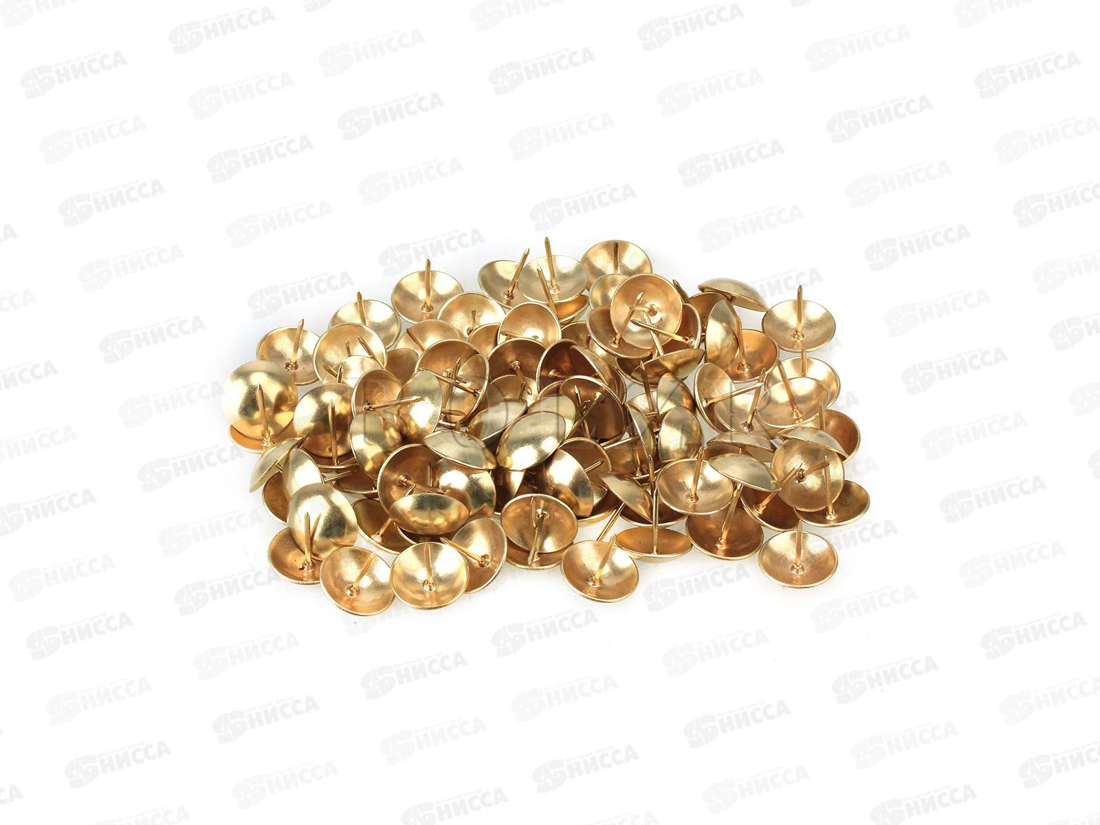 Гвоздь декоративный 1,2х13 золото 75штук ДГЗ-1213    *100   ш