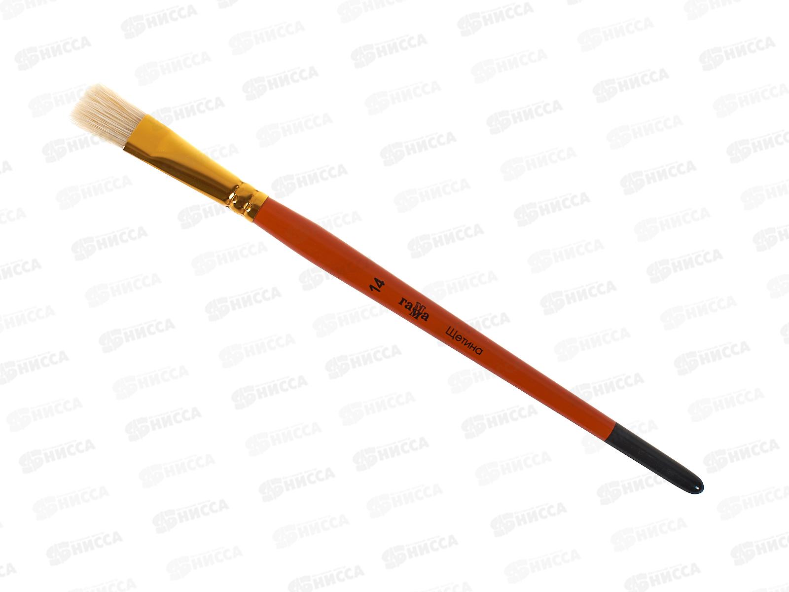 Кисть ГАММА ЩЕТИНА 14 плоская,  280618.06.014  *30/120