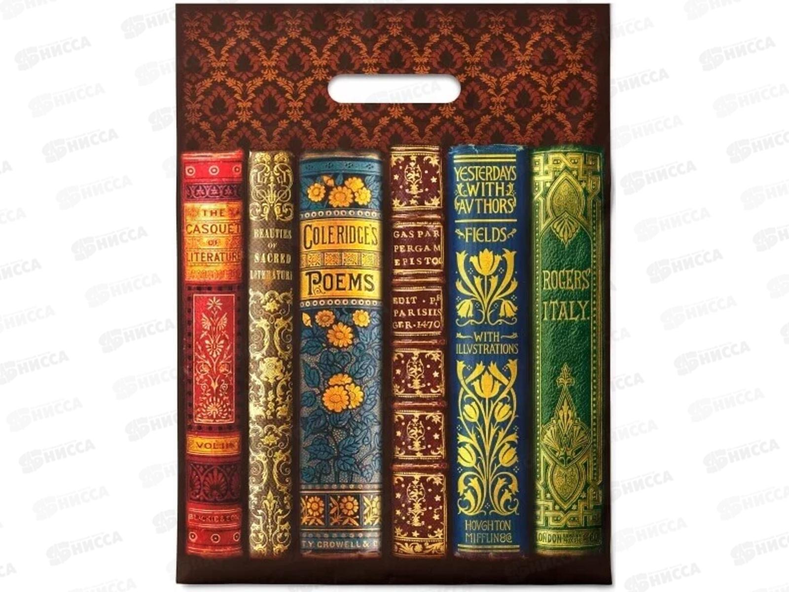 Пакет пробивной 30*40 Книги 50мкр *50/1000