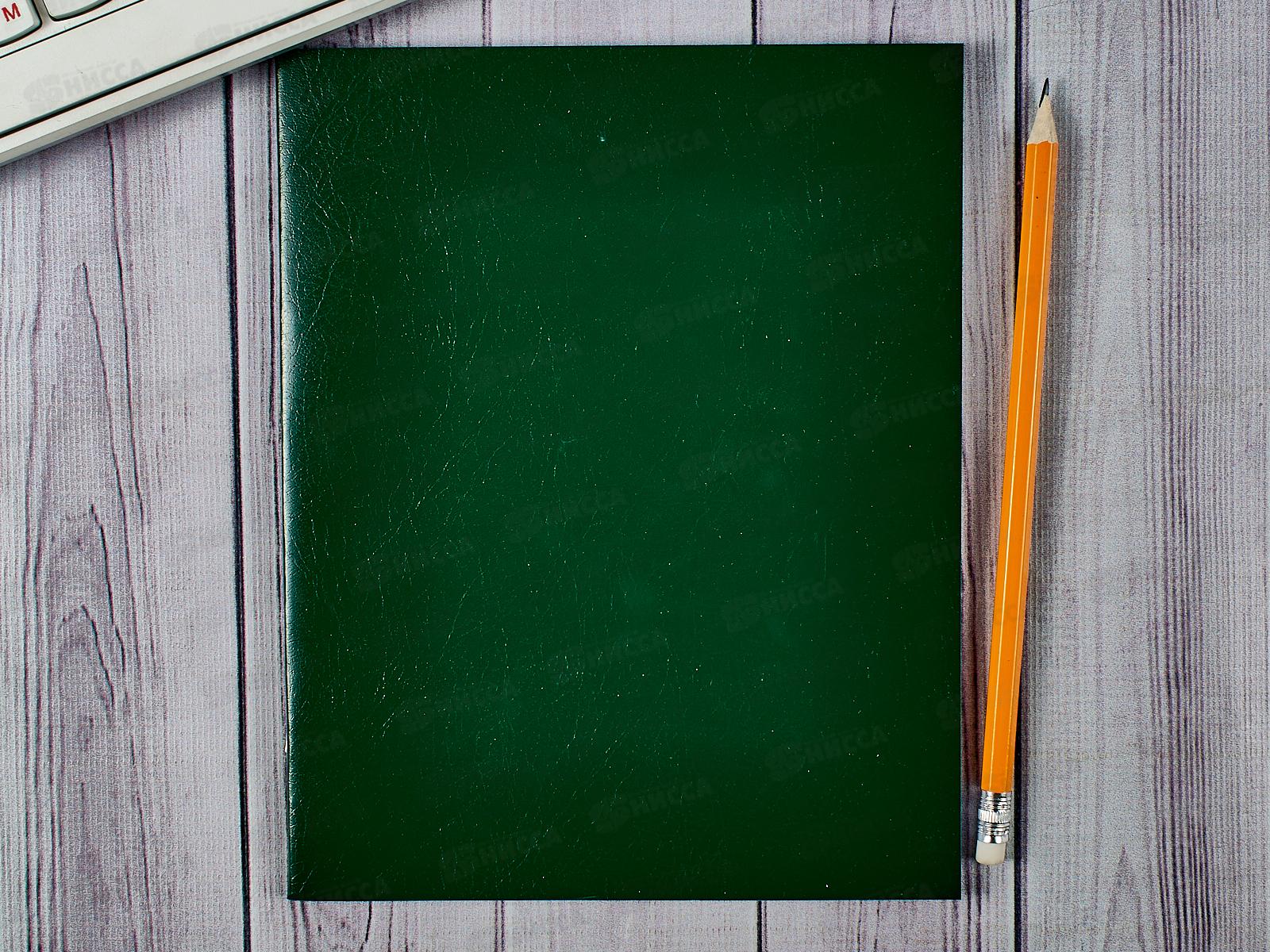 Тетрадь 48листов клетка Hatber бумвинил Зеленая*60