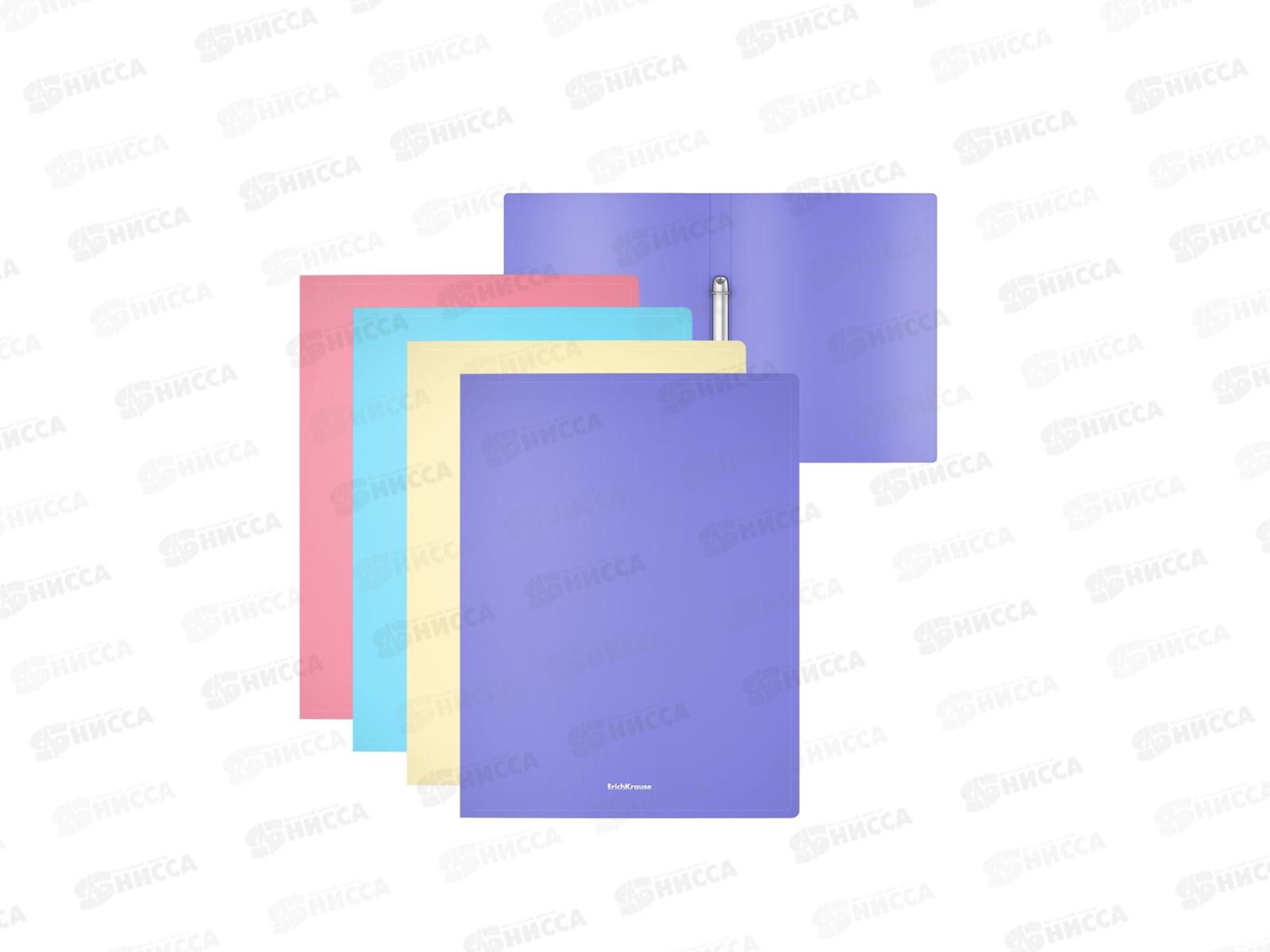 Папка на 2-х кольцах 24мм А4 EK ассорти, 49977 *4/36