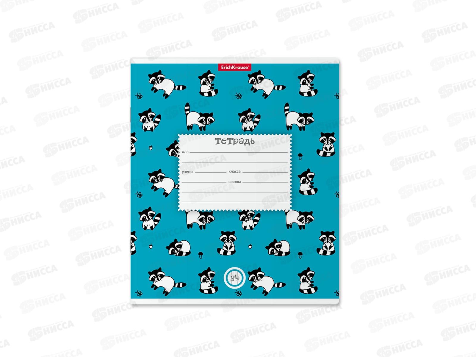 Тетрадь 24листа клетка ПОЛИ Racoons, 49207 *10/160