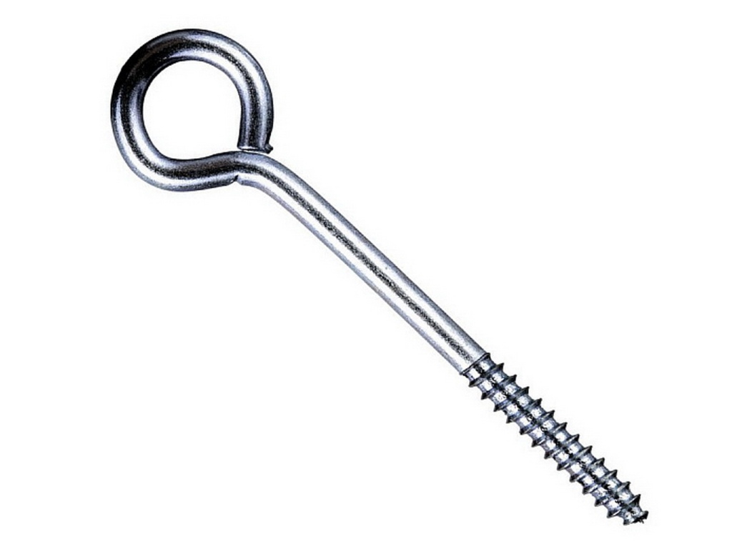 Шуруп-кольцо  6*70 (2шт) Госкреп    *10