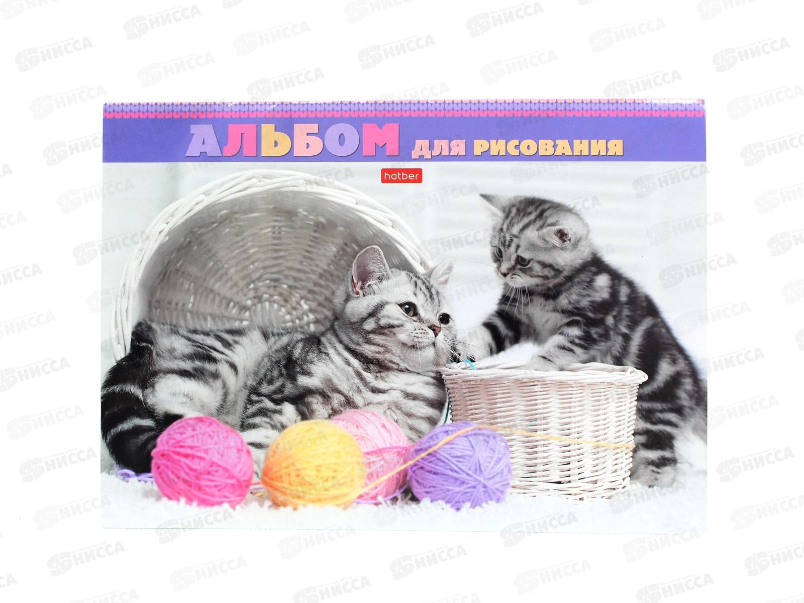 Альбом для рисования 24линия  Hatber Котята и клубочки 20994 *5/35