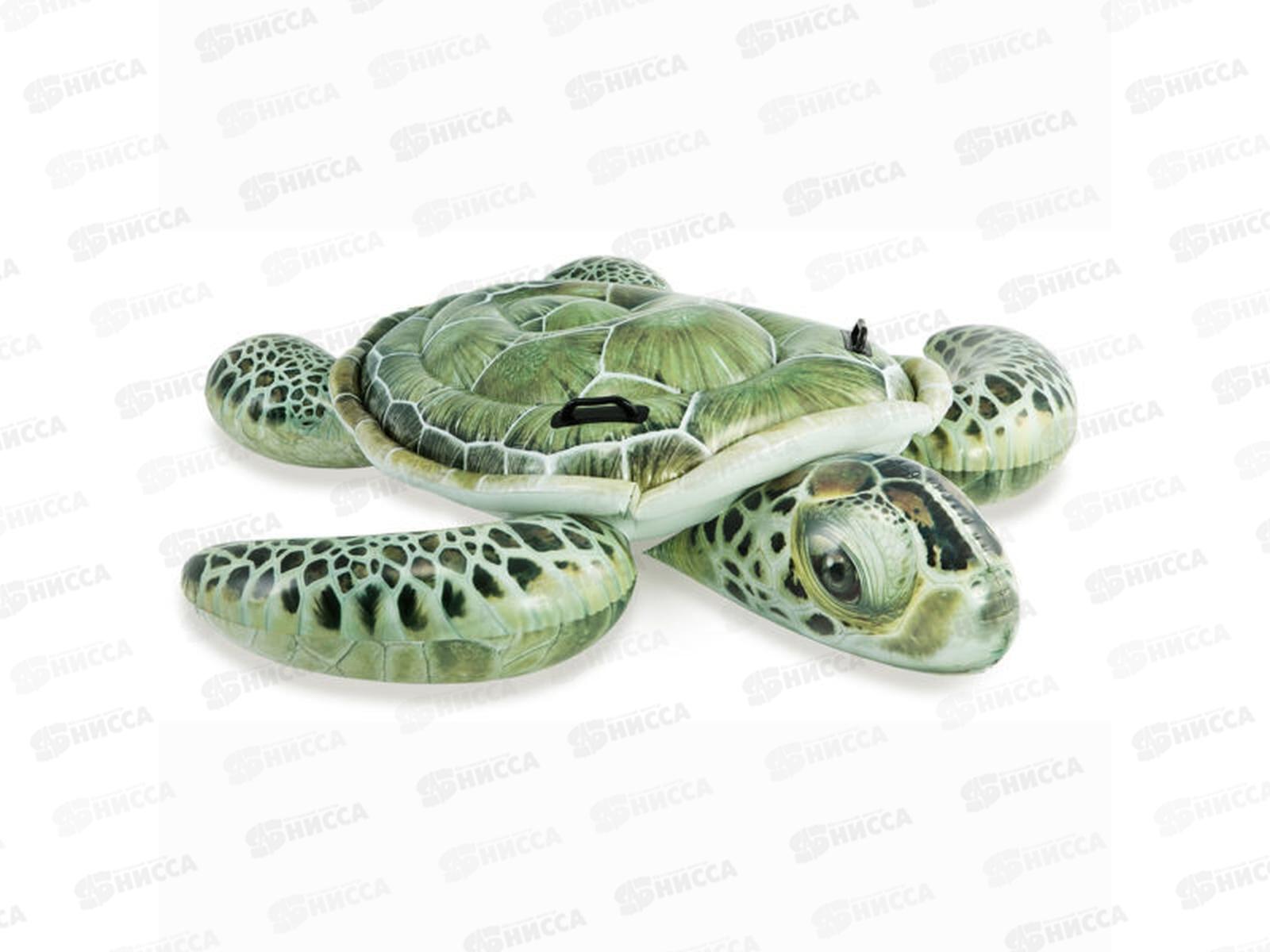 Плот над. 57555 Настоящая черепаха (191*17см) INTEX   *4