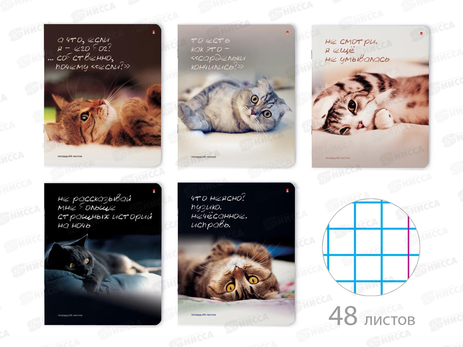 Тетрадь 48листов клетка АЛЬТ Приколы кошачьи мечты,7-48-381*5/60