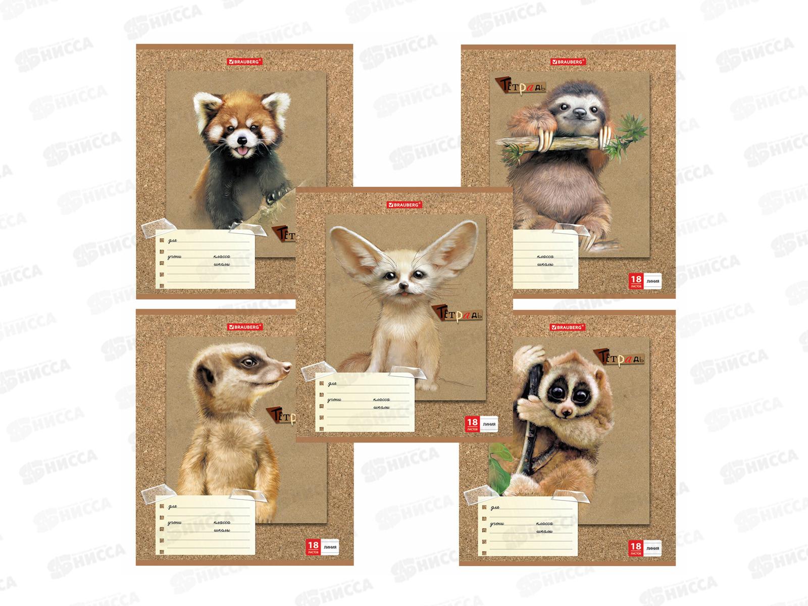 Тетрадь 18л лин BRAU Милые зверушки,403580*20/160