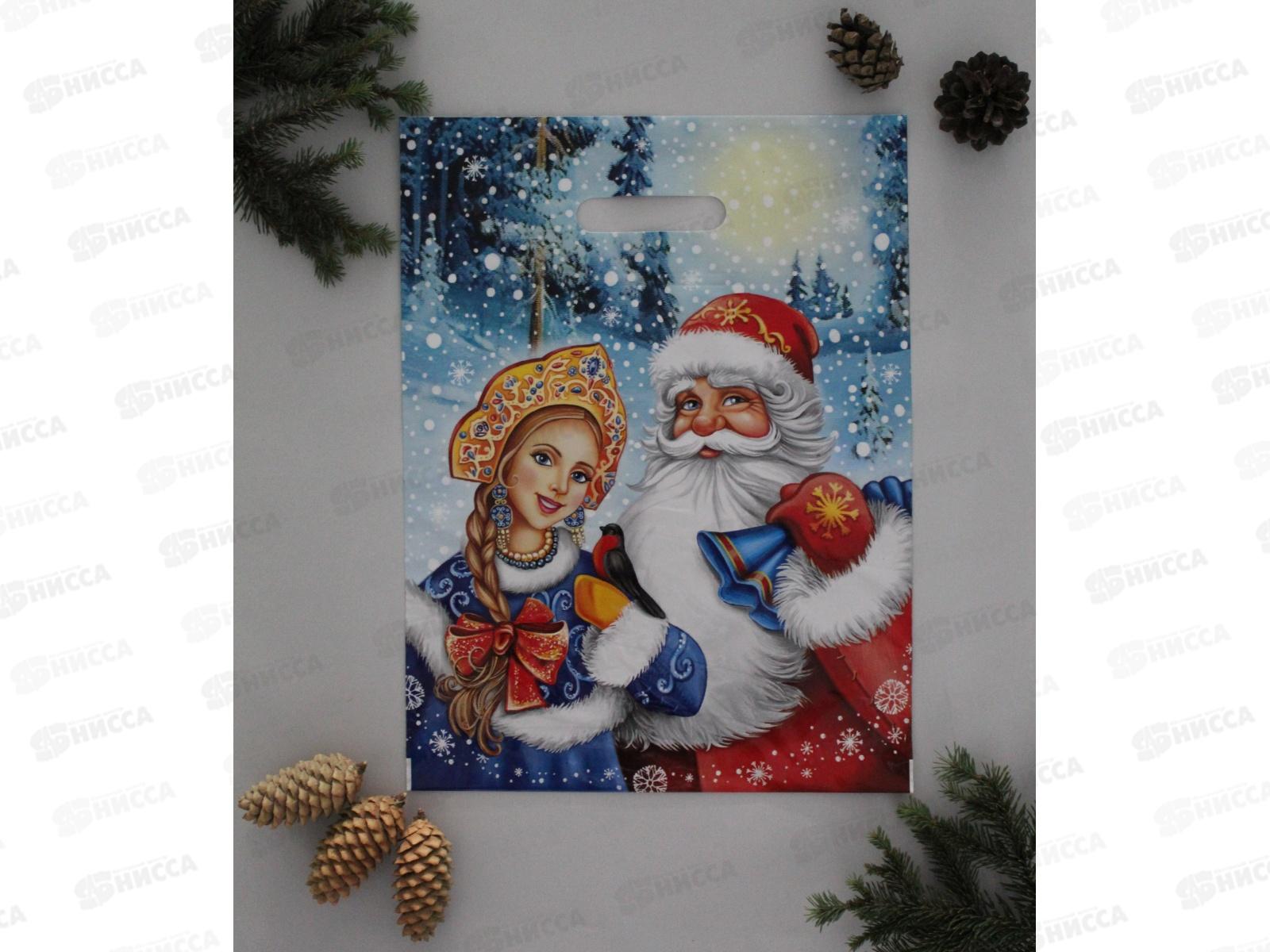 Пакет пробивной Новый Год 31*40 Дед мороз и снегурочка *50/500