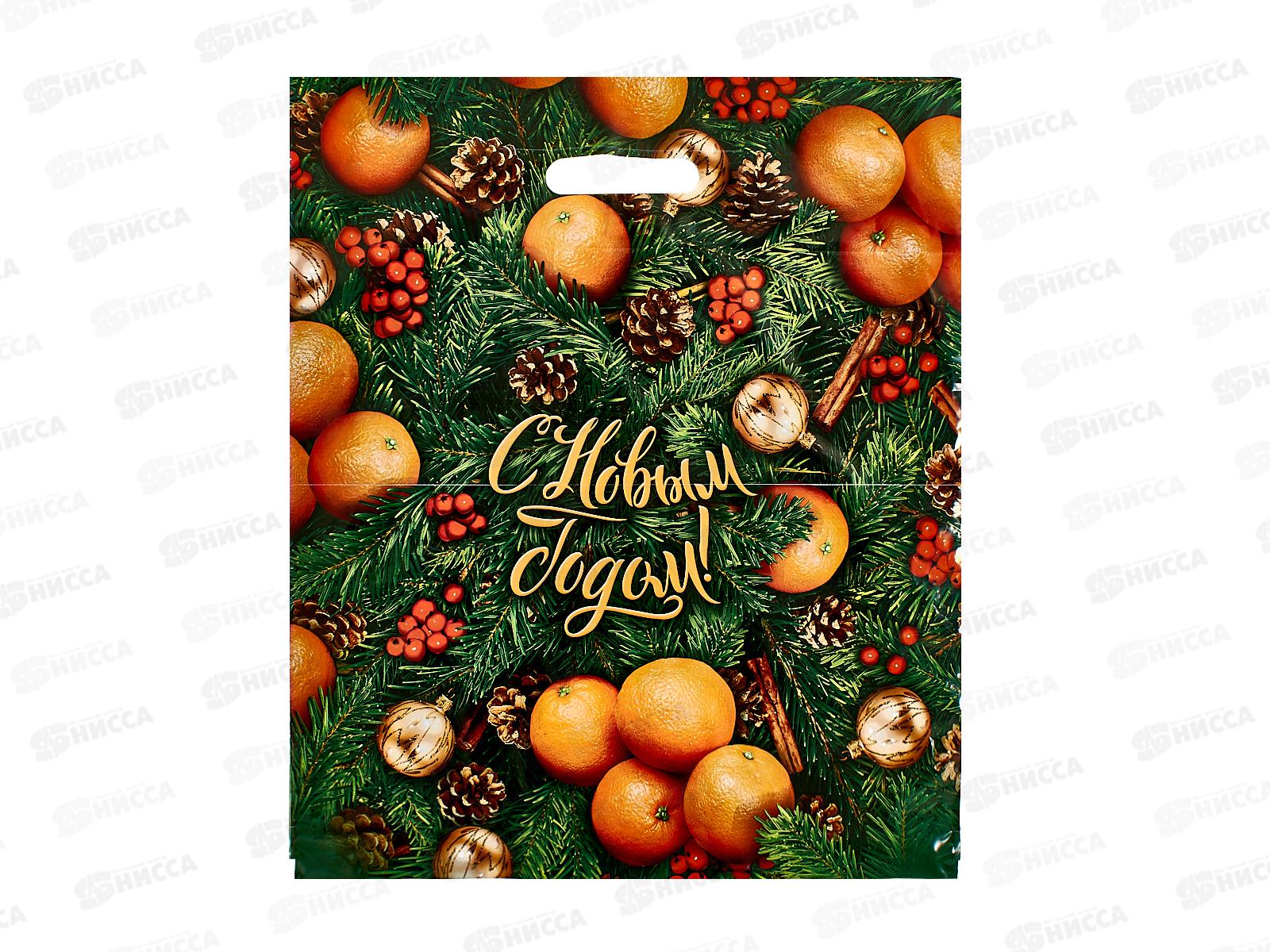 Пакет пробивной Новый Год 40*47  Спелая зима *50/500