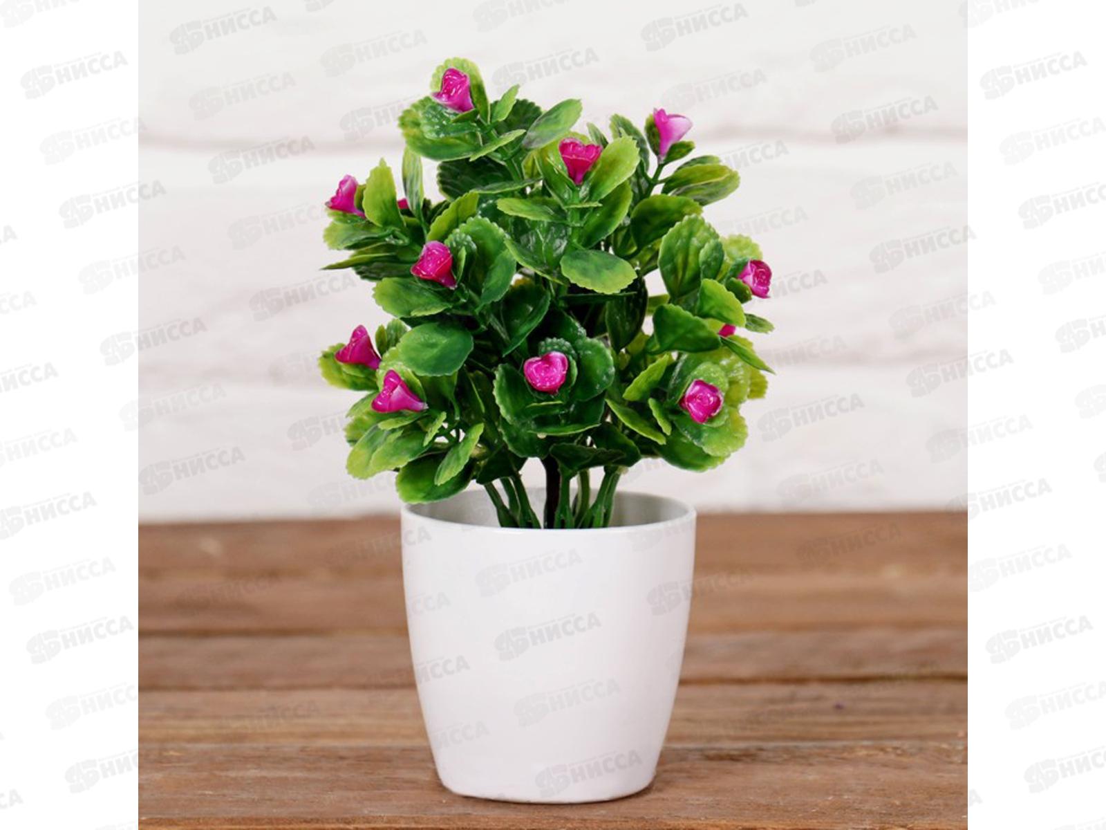 Бонсай в горшке &quotМаленькие розочки&quot 6*15см микс 4555644