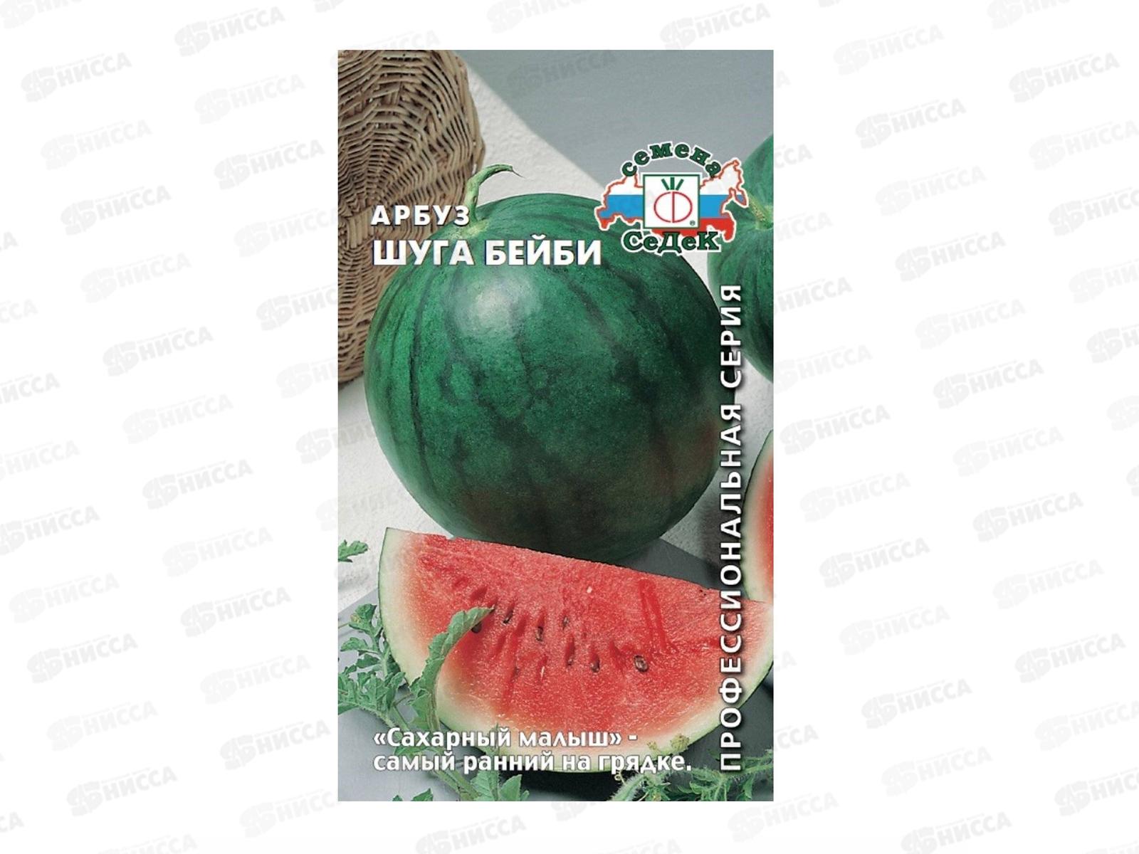 Арбуз Шуга Бейби (Евро, 1) *10 СеДек