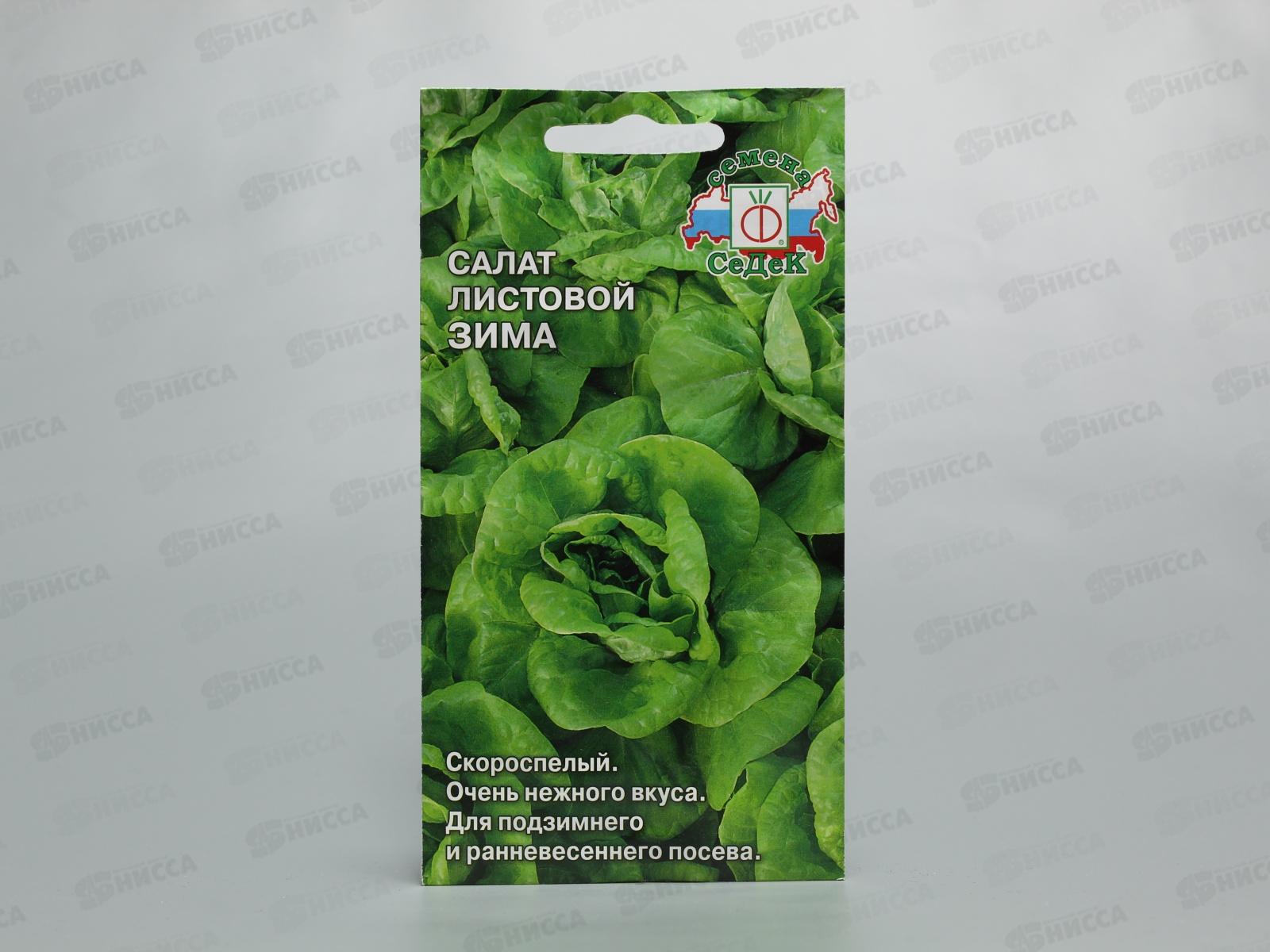 Салат Зима (лист)  (Евро, 0,5) *10 СеДек +