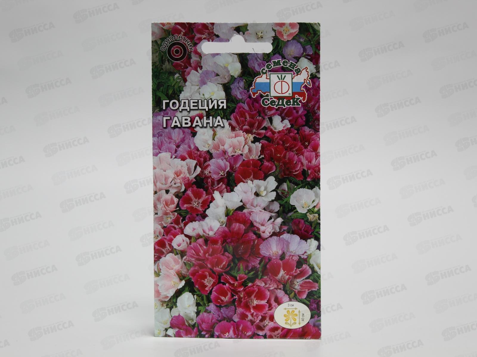 Годеция Гавана (крупноцветковая смесь) (Евро, 0,1) СеДек *10 +