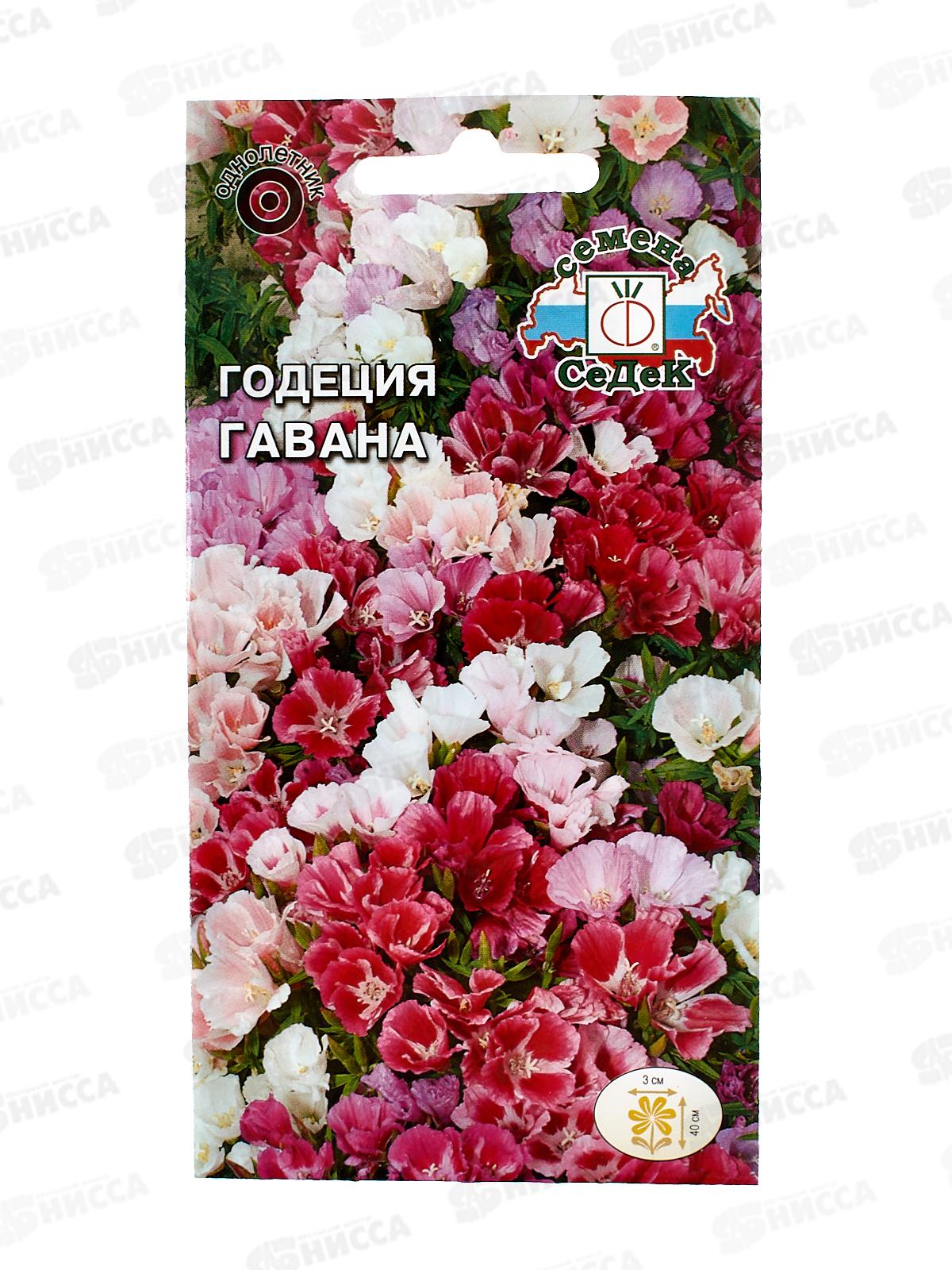 Годеция Гавана (крупноцветковая смесь) (Евро, 0,1) СеДек *10 +