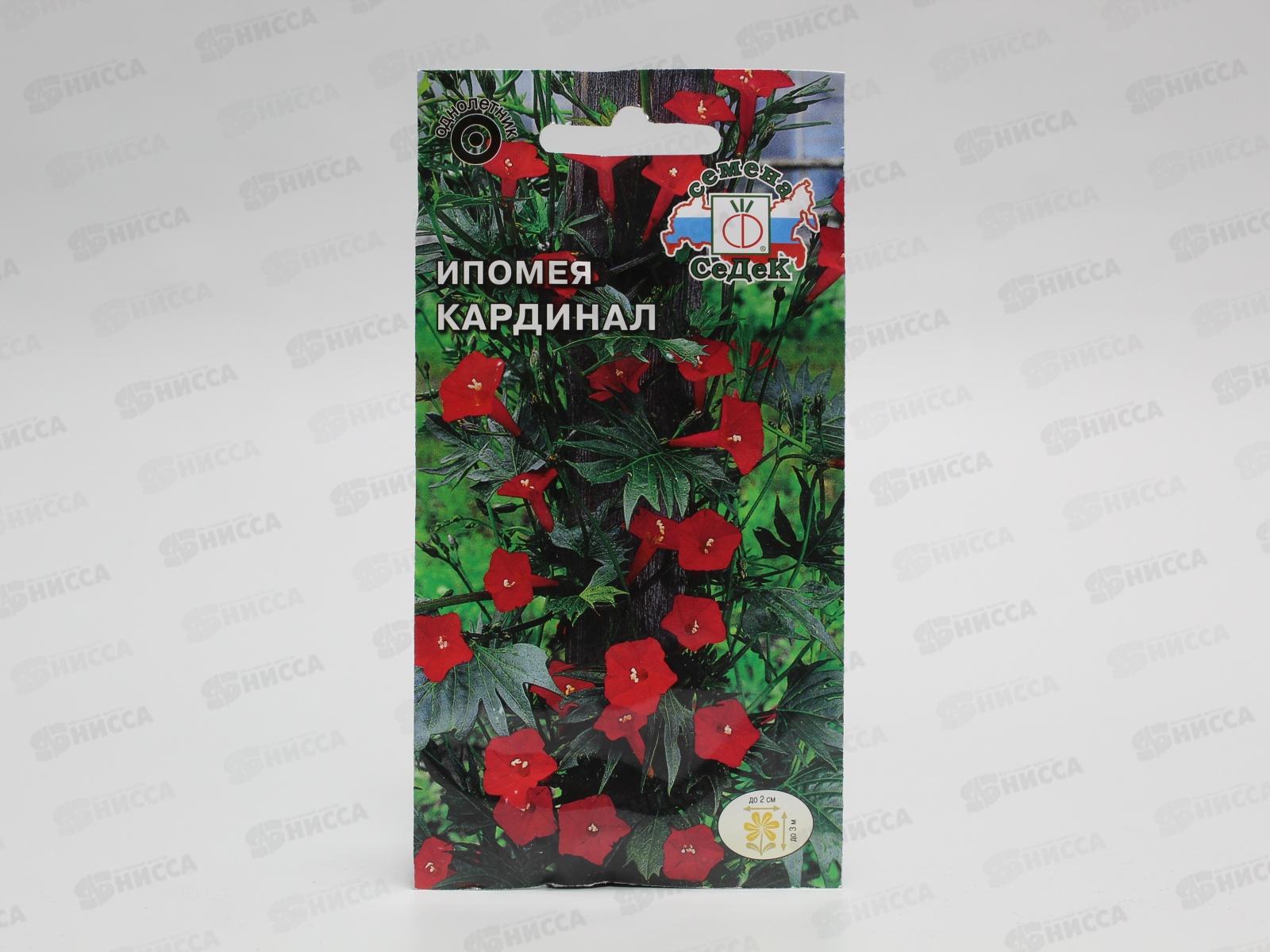 Ипомея Кардинал (квамоклит, красная) (Евро  0,5) СеДек *10 +