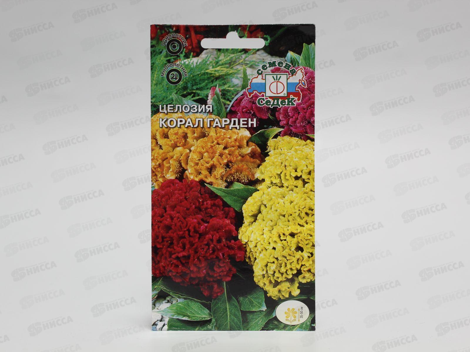 Целозия Корал гарден (гребенчатая) (Евро, 0,2) СеДек *10