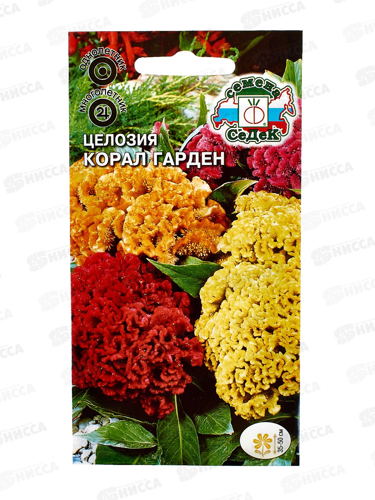Целозия Корал гарден (гребенчатая, низкорослая, смесь цветов) (Евро, 0,2) СеДек *10 +