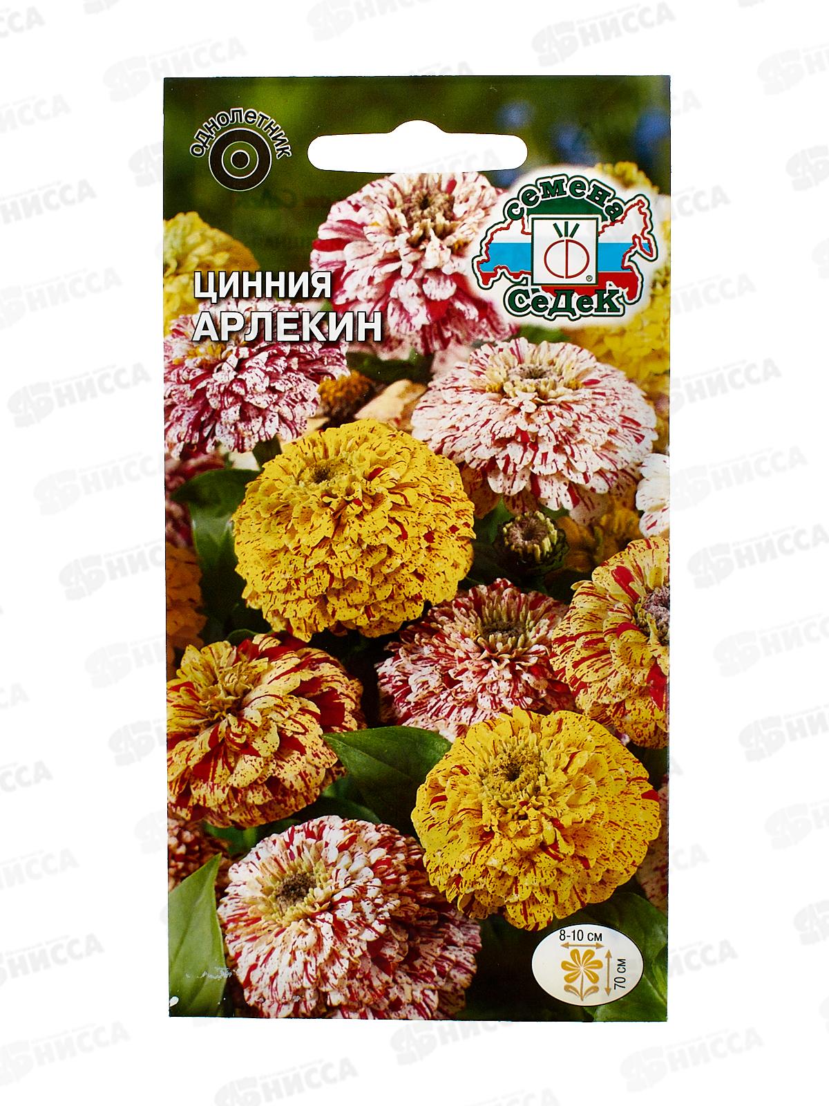 Цинния Арлекин (изящная) (Евро, 0,5) СеДек *10 +